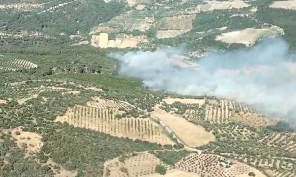 Bergama'da orman yangını...